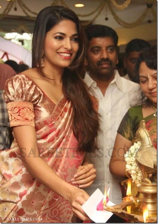 Parvathy_Omanakuttan_Traditional_Silk_Saree (1)