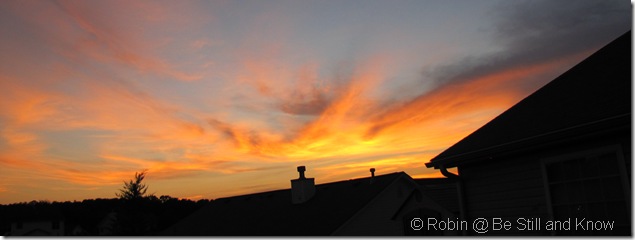 IMG_0361 IMG_0361