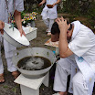DSC02178.JPG