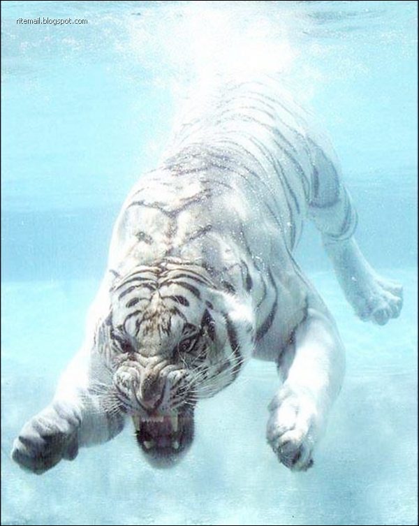 Some Scenes Cant Be Seen Everyday