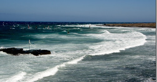 Pozo News (EN): Pozo on fire!!