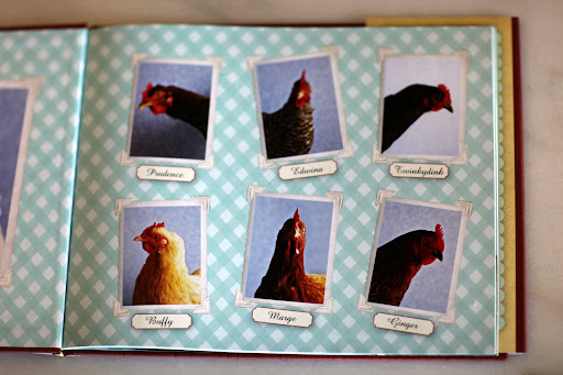 They actually name their chickens at Little Pond Farm.