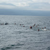 2011-12-11_026.JPG