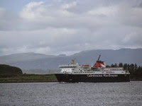 IMG_2377 IMG_2377
