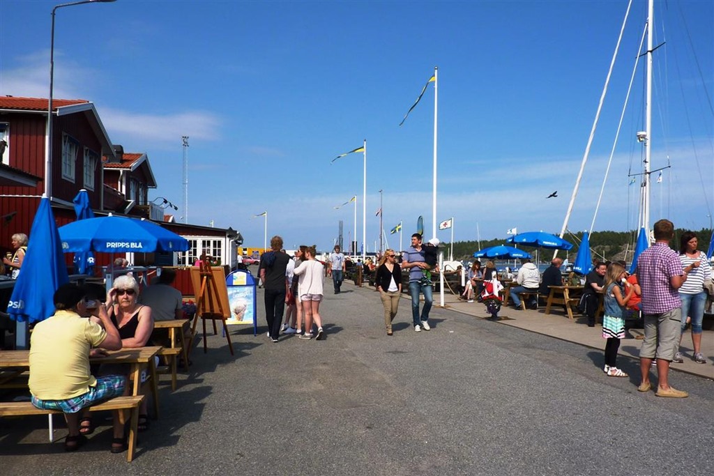 [P1030433-Medium2.jpg]