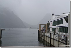 DSC_4029 DSC_4029