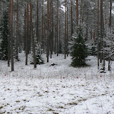 Klajuno estafetes