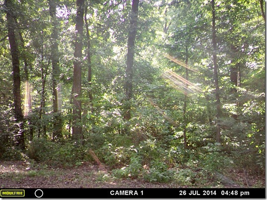 MOULTRIE DIGITAL GAME CAMERA