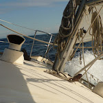 The Med