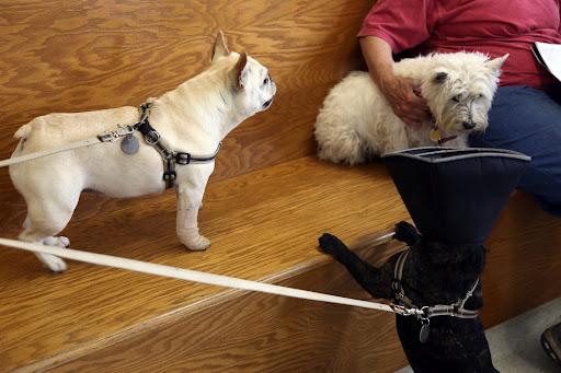 Oh hi, little friend!  You're just here for a check-up?  Francesca needs to pick up refills for her prescriptions.