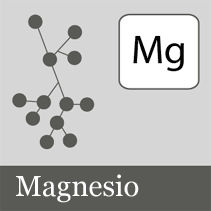 [magnesio%255B4%255D.gif]