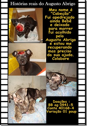 cabeção cabeção