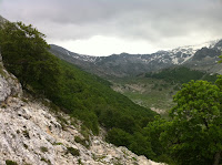 IMG_1355.JPG