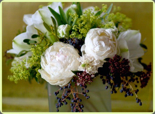 florali_win008 florali