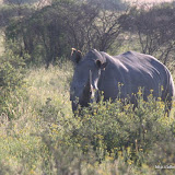 Botswana