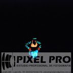 Foto Nro_119.JPG