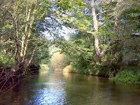 DSC06044.JPG Photo