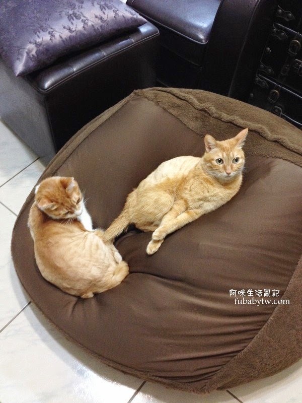 調整大小IMG_5611 調整大小IMG_5611