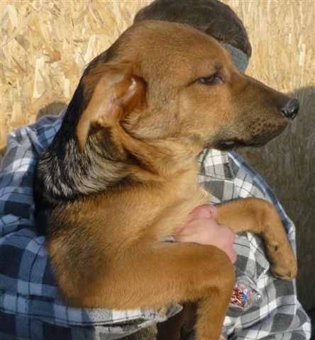 [Bank%25C3%25B3%25202011.12.20.2%255B4%255D.jpg]