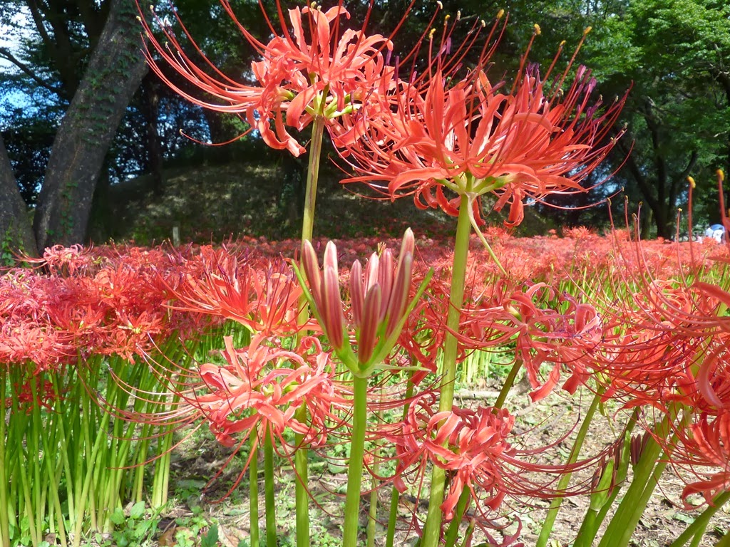 [P1130029%255B4%255D.jpg]