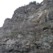 P1100564.JPG