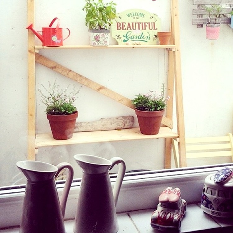 How Does Your Garden Grow