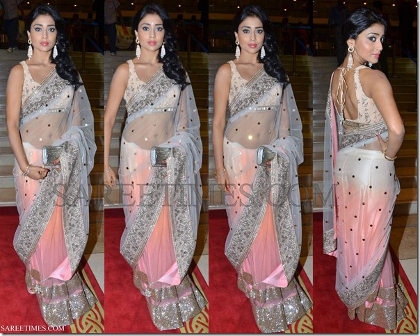 Shriya_Manish_Malhotra_Shimmer_Saree