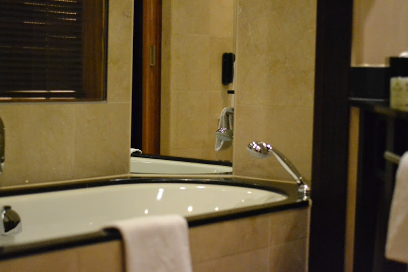 Intercontinental, Intercontinental Dusseldorf, Konisgallee, Germany, Hotel