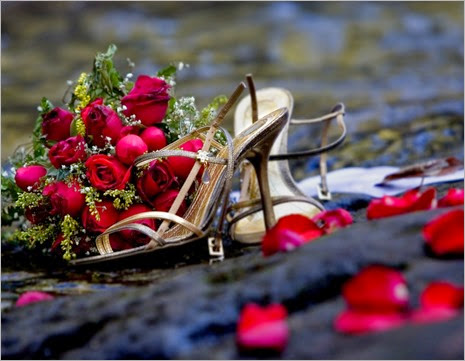800x600_rozyi-petals-shoes-buket-lepestki-bouquet-rose-rosa