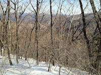 IMG_0127.jpg Photo