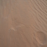 IMG_5291.JPG