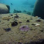 P1450650.jpg