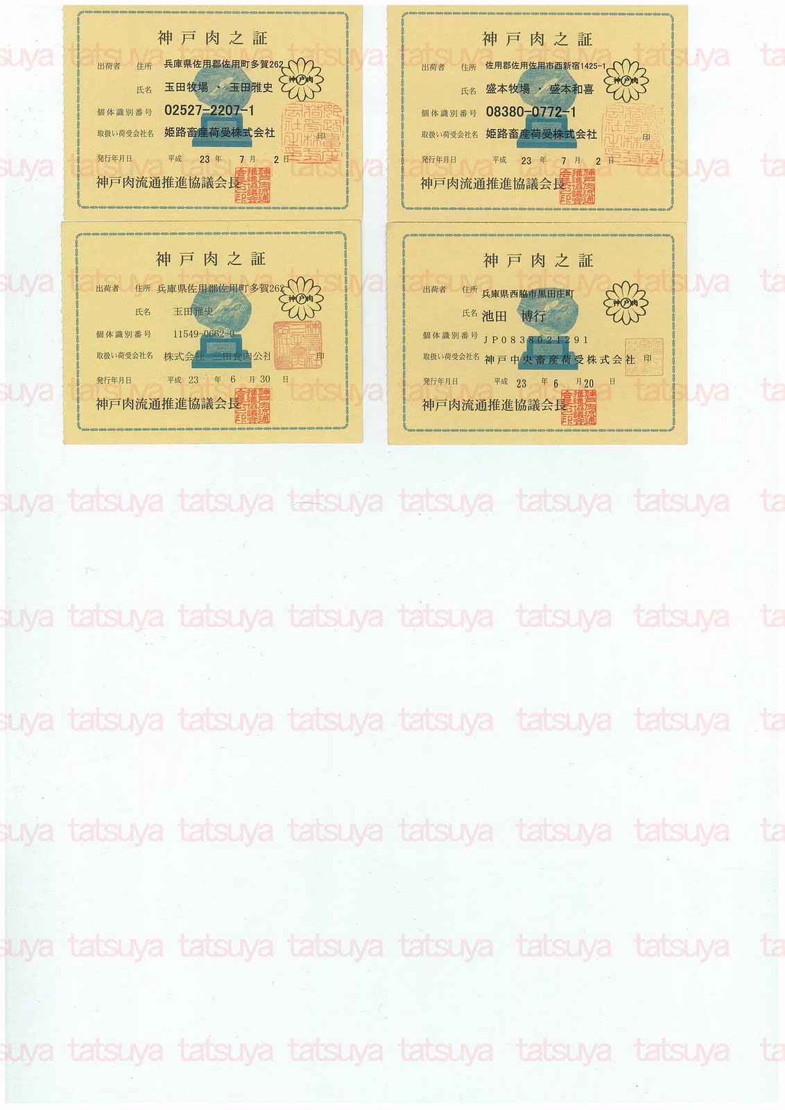 [LOT-11072501-%25232.jpg]