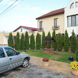 P1234066.JPG