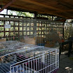 2010 (23).JPG