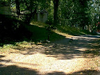 Shady path in park Shady path in park