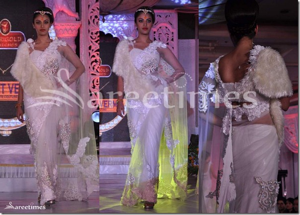 Rohhit_Verma_White_Embroidery_Sari