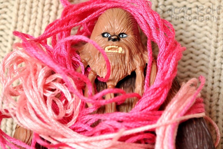[Chewbacca-wrapped-in-string%255B3%255D.jpg]