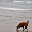 DSC_0223-2.jpg