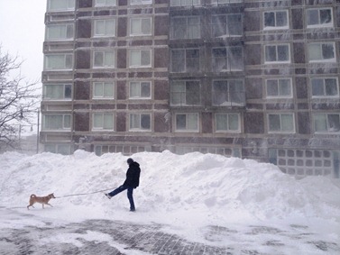 Snow pile