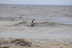 DSC_5857.JPG
