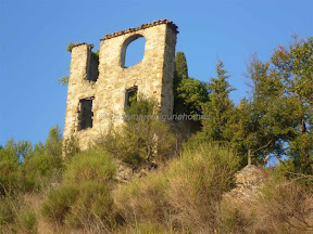 Italy property sale in Liguria, Vallebona