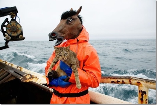 strange-cats-expain-that-4