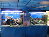 Reef exhibits