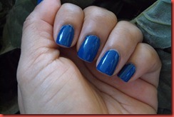 DSCF1010 DSCF1010