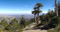 [Group 3]-IMG_0409_IMG_0426-18 images.jpg Photo