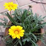 DSCN1789.jpg