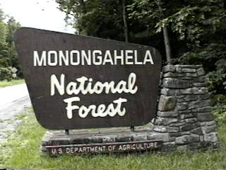 Monongahela National Forest entry sign. forestcamping.com