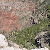 DSC_1773.JPG
