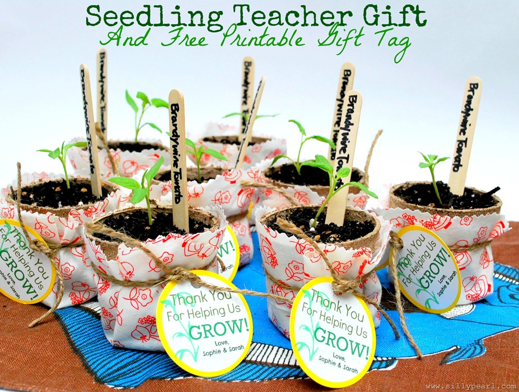 [Seedling%2520%2520Teacher%2520Gift%2520and%2520Free%2520Printable%2520Gift%2520Tag%2520by%2520The%2520Silly%2520Pearl%255B3%255D.jpg]